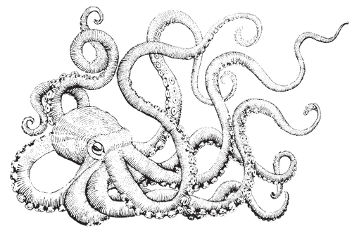 Silver Octopus Gallery